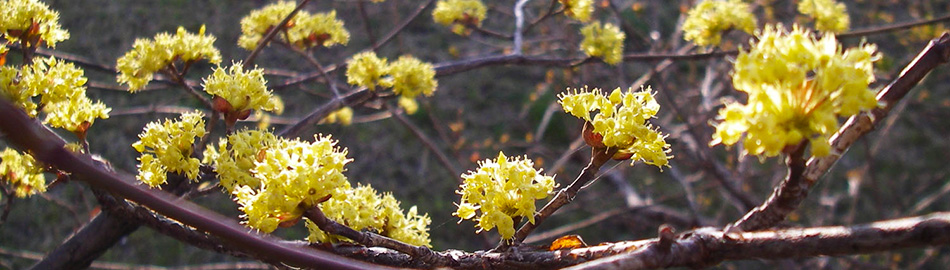 �r���[�e�B�T�C�G���X�̒�